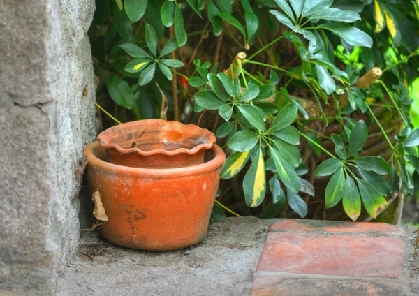 Old Clay pots — Stock Photo, Image