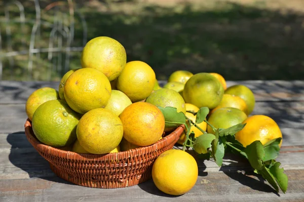 Grupo de naranjas frescas acaba de cortar del árbol en una cesta sobre una mesa de madera rústica —  Fotos de Stock