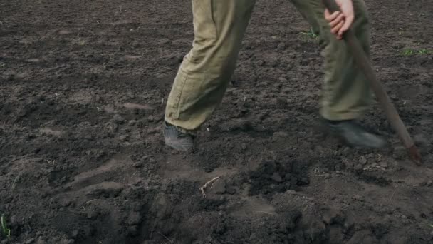 Man Digging Ground Spade Field — Stock Video © docer2000 #153198692