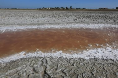 Azak Denizi'nin kıyısında tuzlu göller