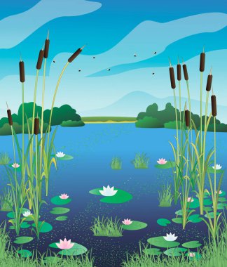 Illustration swamp lily. clipart