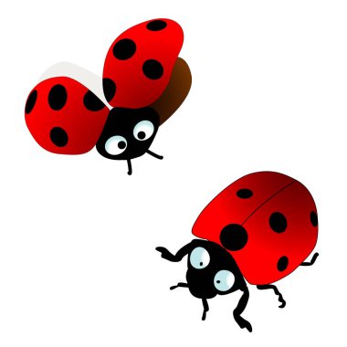Beyaz bir arka plan üzerinde iki ladybugs