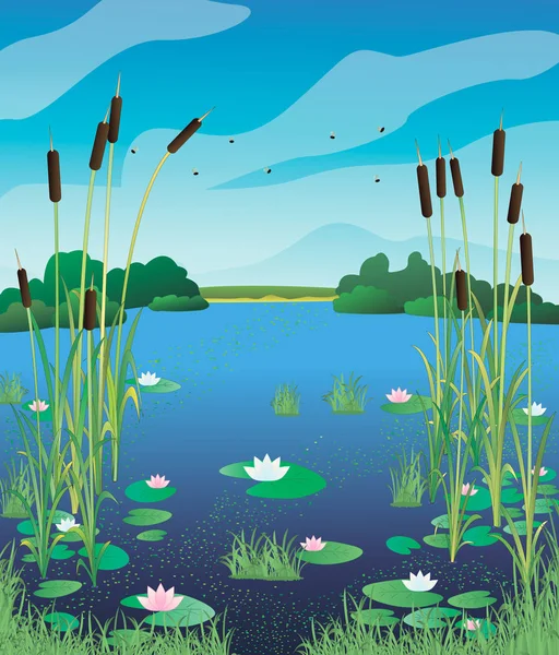 Иллюстрационная болотная лилия . — стоковый вектор