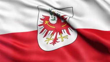 Avusturya 'da rüzgarda dalgalanan kusursuz Tyrol bayrağı. Son derece detaylı kumaşlı gerçekçi döngü.