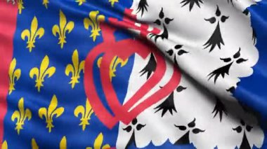 Fransa 'da Pays de la Loire bölgesel bayrağının kusursuz döngüsü rüzgarda sallanıyor. Son derece detaylı kumaşlı gerçekçi döngü.