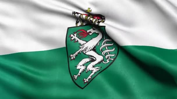 Sömlös Loop Steiermark Statliga Flagga Österrike Vinkar Vinden Realistisk Ögla — Stockvideo