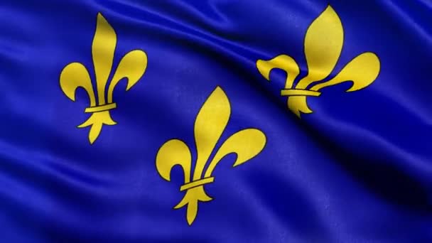 Laço Sem Costura Bandeira Regional Ile France França Acenando Vento — Vídeo de Stock