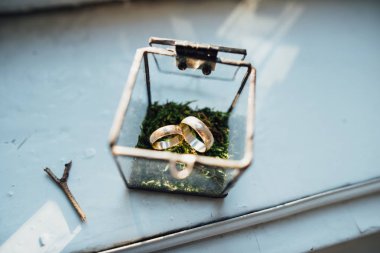 Cam bir kutuda alyanslar