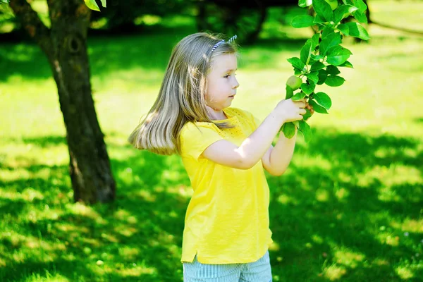 Adorável menina segurando ramo de árvore de maçã no jardim em — Fotografia de Stock