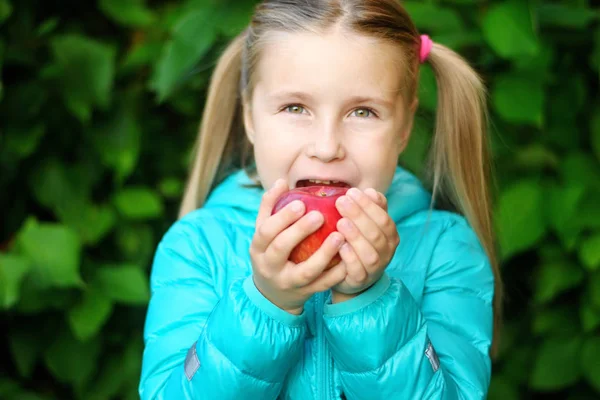 Klein meisje eten een appel op een houten bankje op herfstdag — Stockfoto