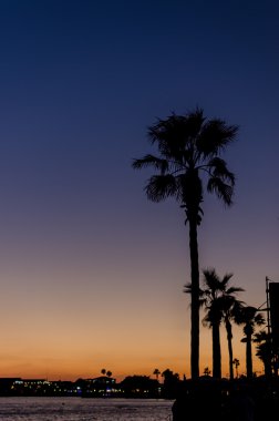 Tarihi palms adlı günbatımı gökyüzü arka plan. 
