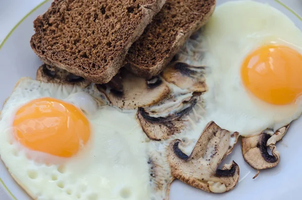 Petit déjeuner sain, œufs frits aux champignons et deux tranches de r — Photo