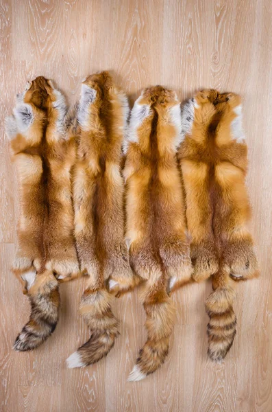 Utformad fox hud — Stockfoto