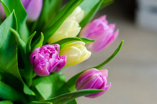 Hermoso ramo de primavera de tulipanes —  Fotos de Stock