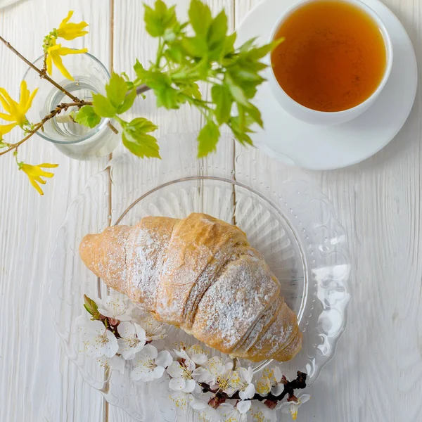 Croissant e fiori di ciliegio — Foto Stock