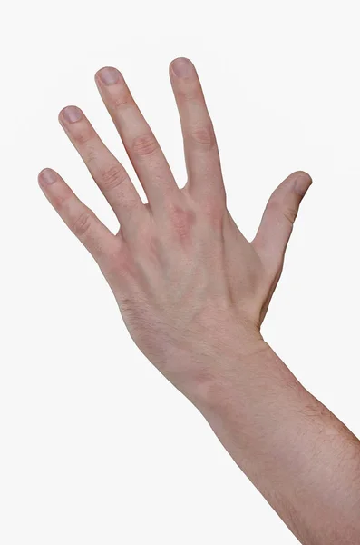 Man hand. Five fingers, unfolded palm — Stock Photo, Image