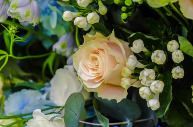 Hassas krem gül çiçek bir kompozisyon içinde