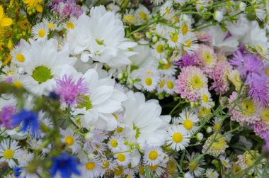 Hassas arka planını çiçekler