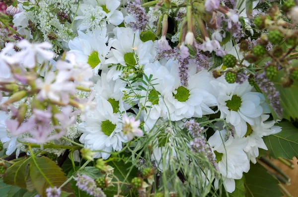 Hassas arka planını çiçekler