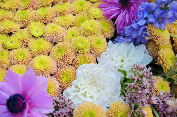 Taze sonbahar krizantem parlak turuncu kompozisyon