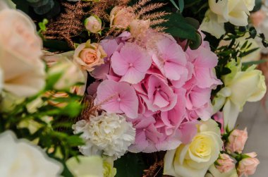 Hassas arka planını çiçekler ortanca ve gül yakın çekim. 