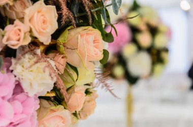 Hassas arka planını çiçekler ortanca ve gül yakın çekim. 