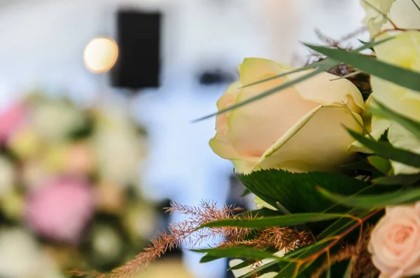 Delicate achtergrond van roze bloemen close-up. — Stockfoto