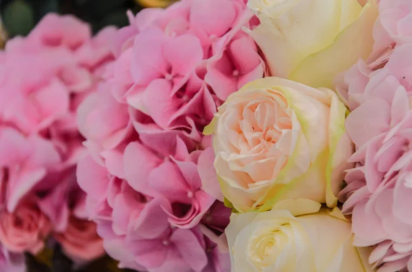 Gevoelige achtergrond van de hydrangea bloemen en roze close-up. — Stockfoto