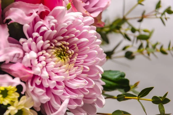 Delicate fresh bouquet of fresh flowers with a pink aster. — Stock Photo, Image