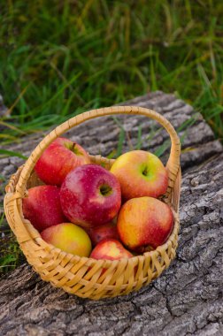 Hasır sepet parlak kırmızı elma ile bir ahşap güverte aga standları