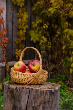 hasır sepet parlak kırmızı elma ile standları bir tahta üzerinde ag güdük