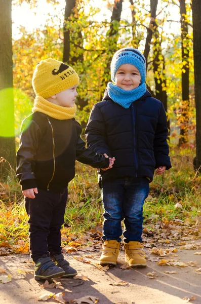 Dos chicos de dos años caminando en el parque de otoño — Foto de Stock