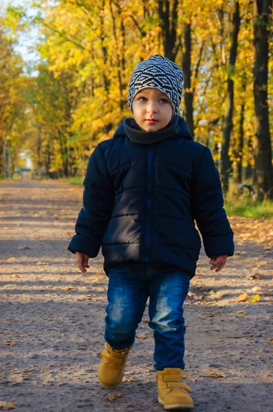 Menino encantador de dois anos em um casaco azul e um passeio de chapéu variegado — Fotografia de Stock