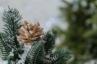 Noel ağacı konisi Noel ağacının süsü olarak.