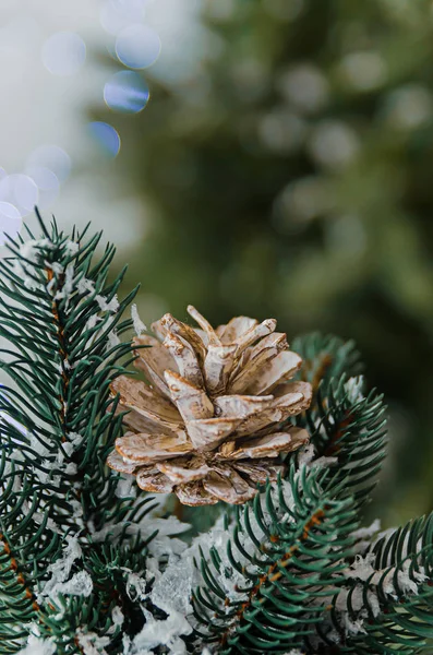 Cono di albero di Natale come decorazione su un albero di Natale . — Foto Stock