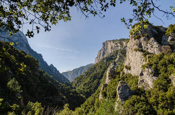 Bela Vista Das Falésias Cobertas Floresta Verde Vistas Panorâmicas Trilha — Fotografia de Stock