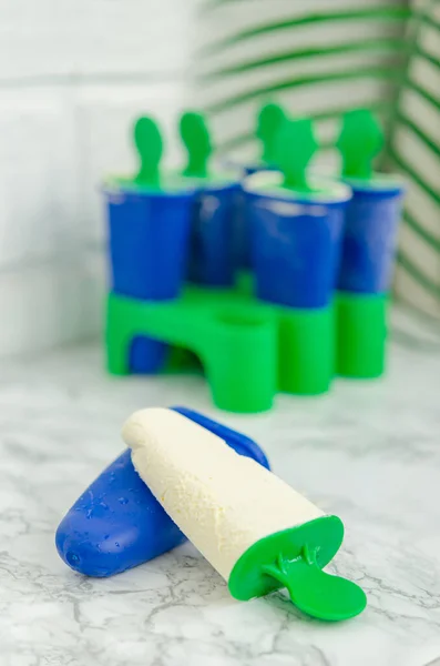 Pyszne Lody Waniliowe Domowej Roboty Specjalnej Formie Zamrażania Domowe Słodycze — Zdjęcie stockowe