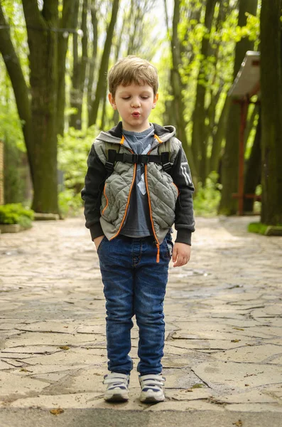 Lindo Niño Cuatro Años Caminar Parque Principios Primavera Paseo Familia — Foto de Stock