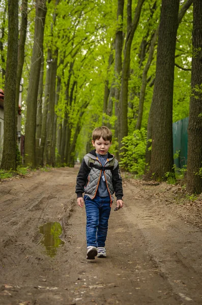 Lindo Niño Cuatro Años Caminar Parque Principios Primavera Paseo Familia — Foto de Stock
