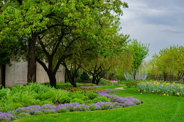 Piękna Świeża Trawa Europejskim Ogrodzie Wczesną Wiosną Zielony Trawnik Kwietnik — Zdjęcie stockowe