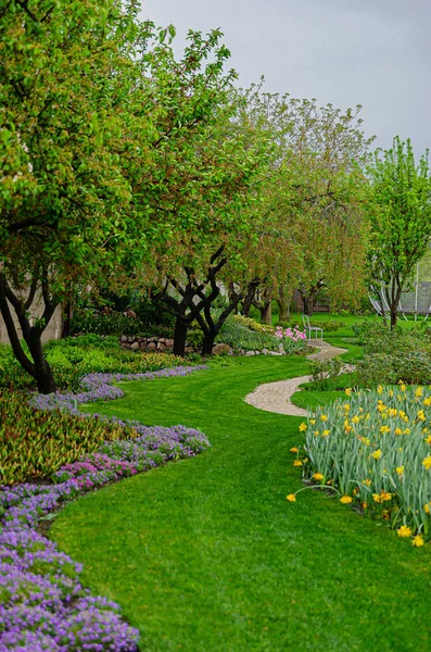 Piękna Świeża Trawa Europejskim Ogrodzie Wczesną Wiosną Zielony Trawnik Kwietnik — Zdjęcie stockowe