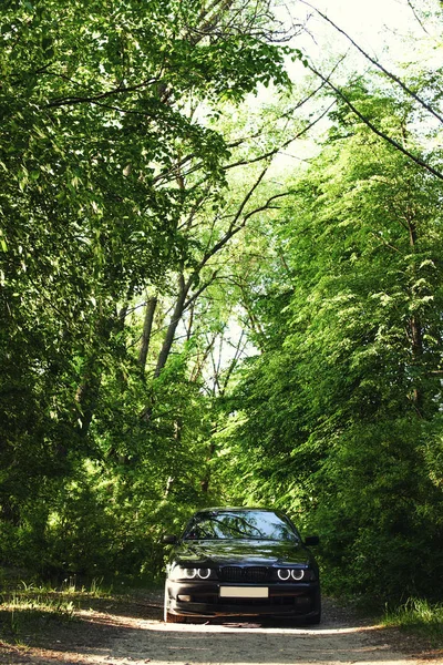 Orman yolundaki araba