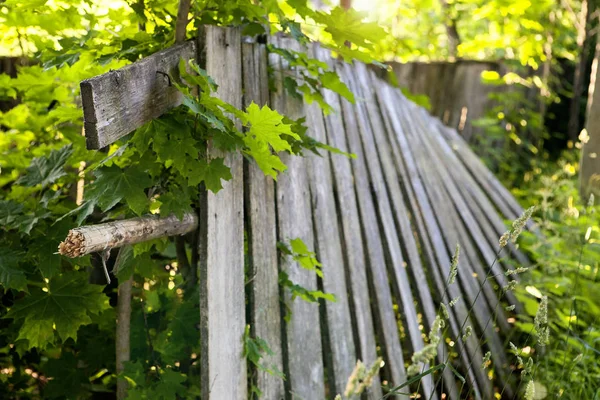 kırık çit panoları üzerinden