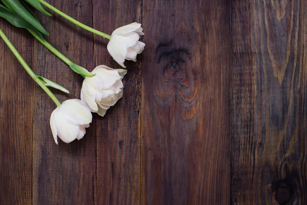 古い木製のテーブルの上の白いチューリップ, ロイヤリティフリーのストック写真