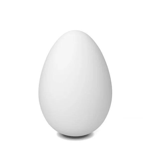 White chicken egg — Stock Photo, Image