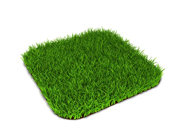 Gröna gräsmattan — Stockfoto
