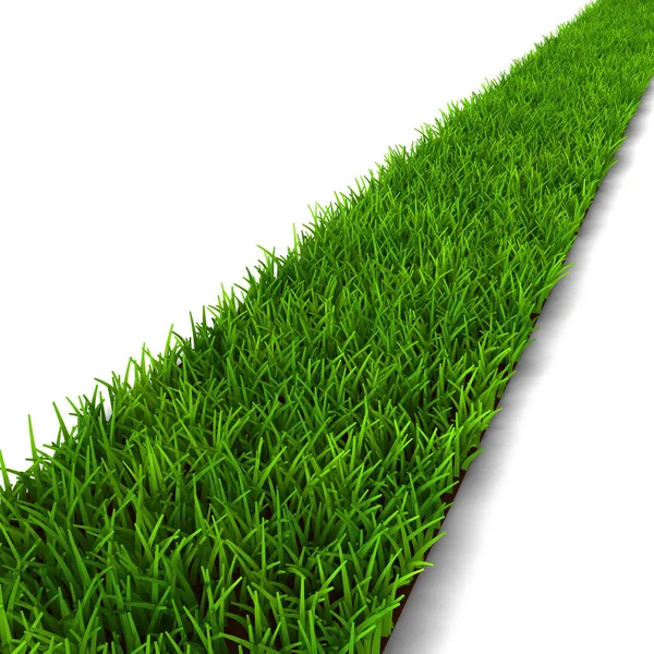 Зеленою травою стежки — стокове фото