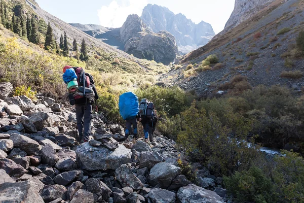 Groupe de randonneurs en montagne. — Photo