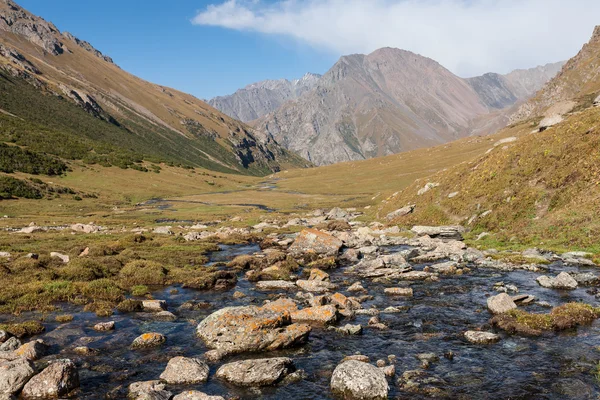 Krajobraz gór Tien Shan. — Zdjęcie stockowe