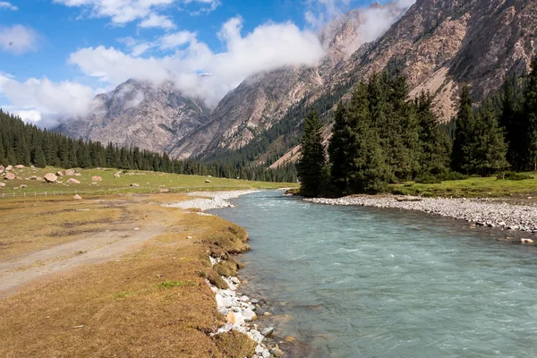 Paysage de montagne de Tien Shan . — Photo